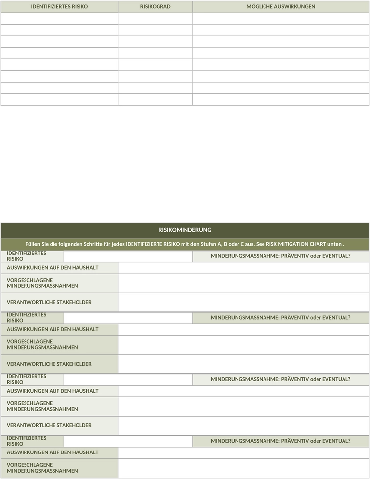 projekt-risiko-management-plan.png
