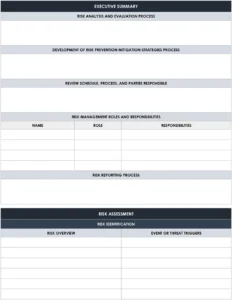 projekt-risikomanagement-plan