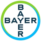 projektablaufplan-excel-vorlage.png