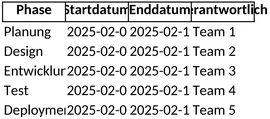 projektablaufplan.png