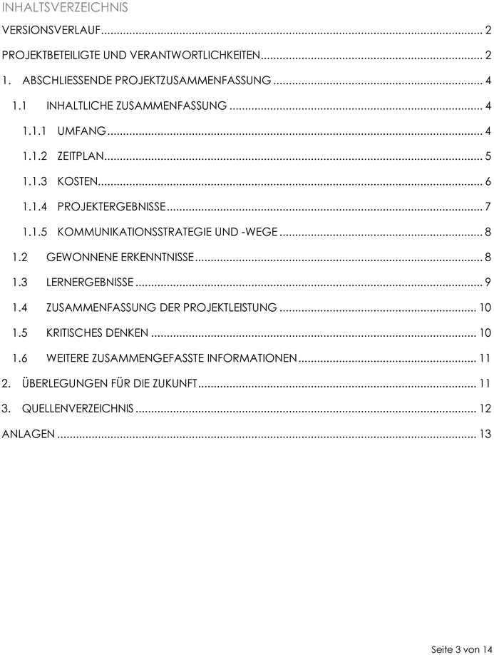 projektabschlussbericht-vorlage-50066_pdf_de.png