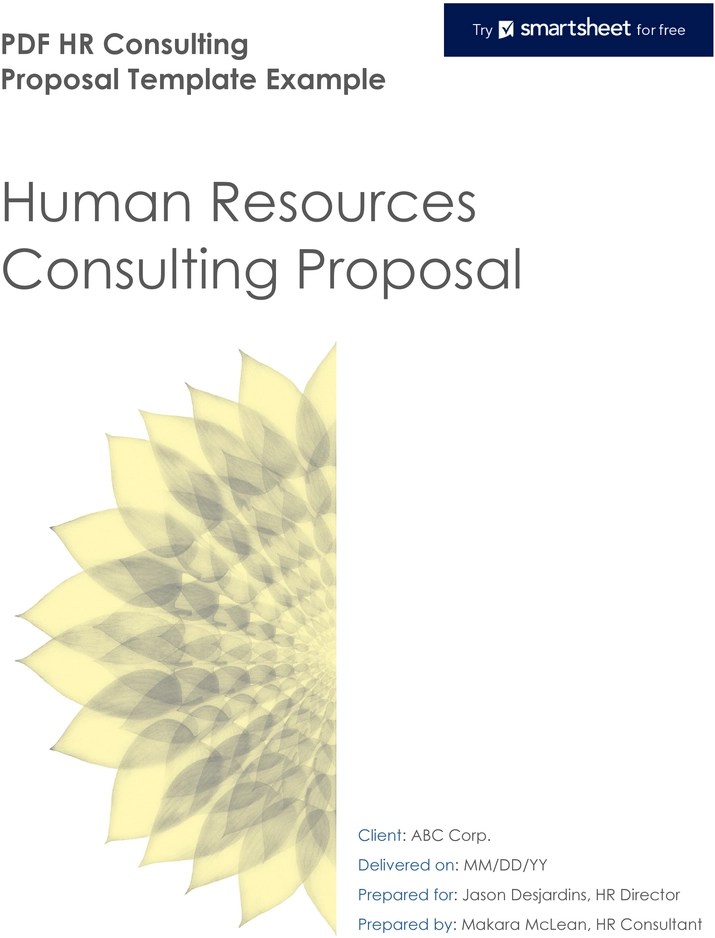 projektantrag-consulting-vorlage-beispiel-12243.png