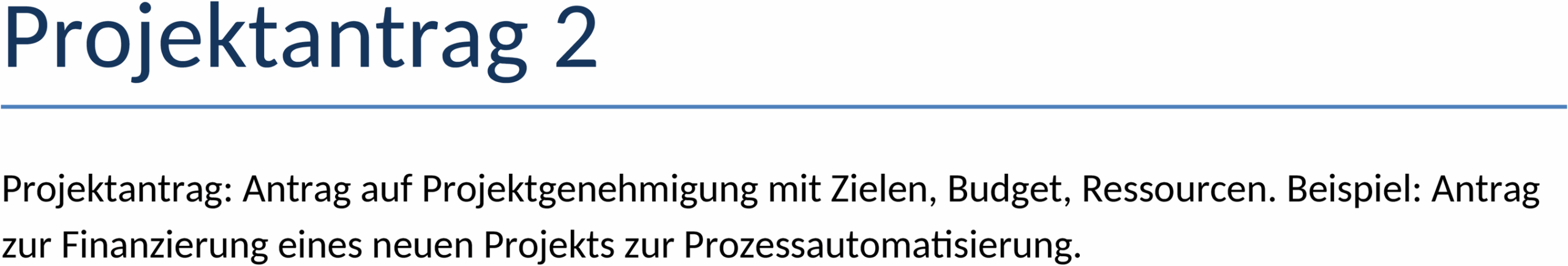 Projektantragsvorlage im DOCX-Format