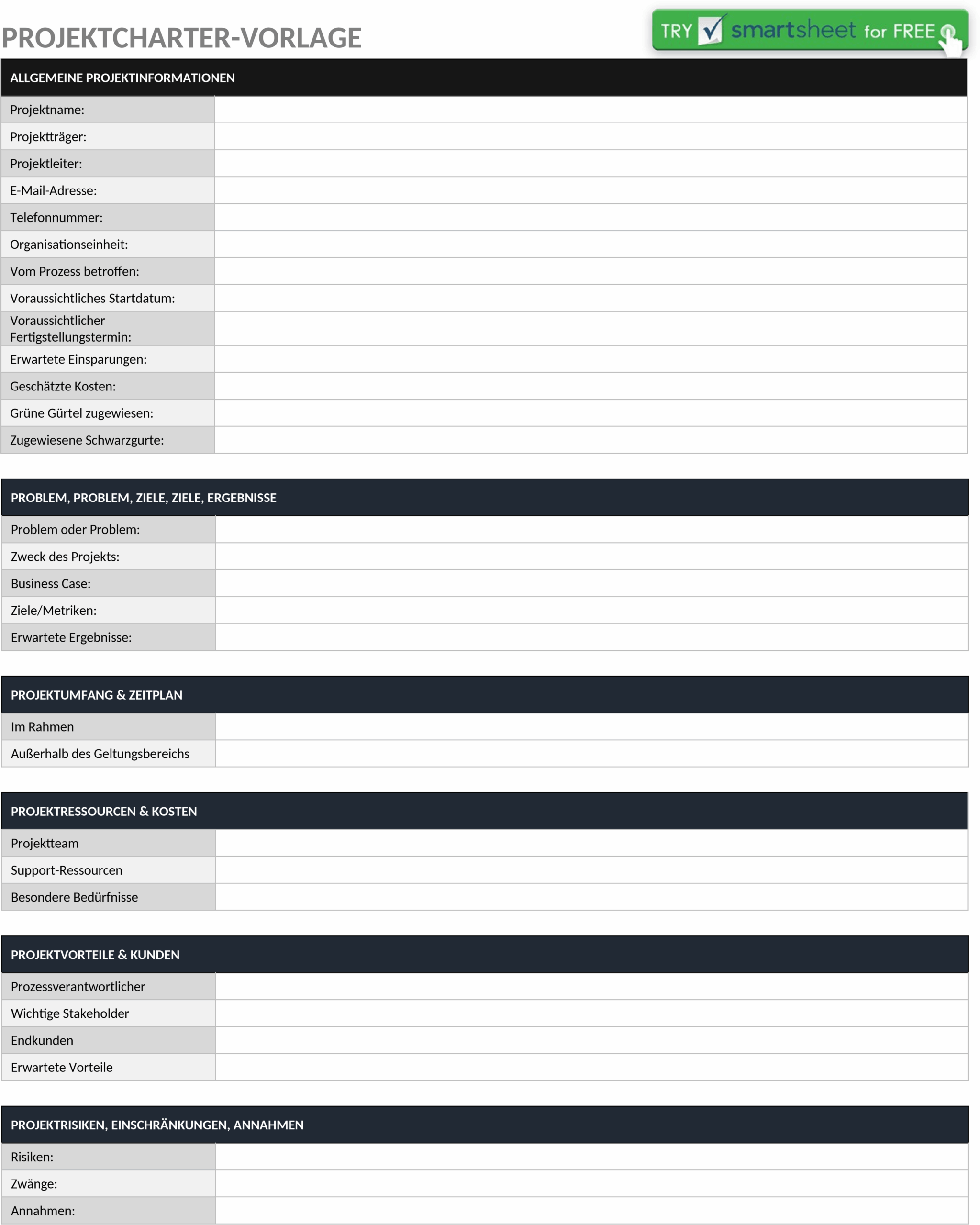 projektauftrag-word-template.png