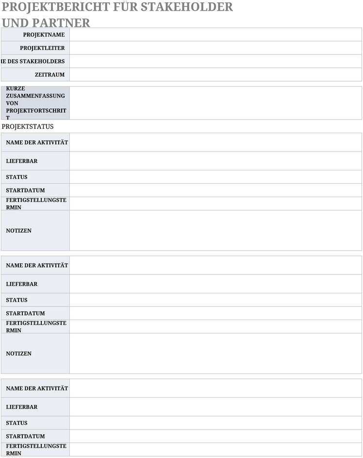 projektbericht-vorlage-fuer-stakeholder-und-partner