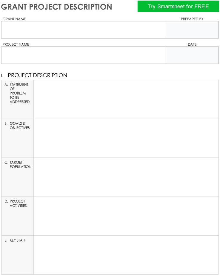 projektbeschreibung-foerderantrag-template-11091.png