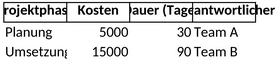 projektbudgetkalkulation.png