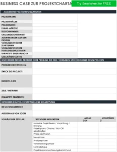 projektcharta-mit-business-case-und-risiken