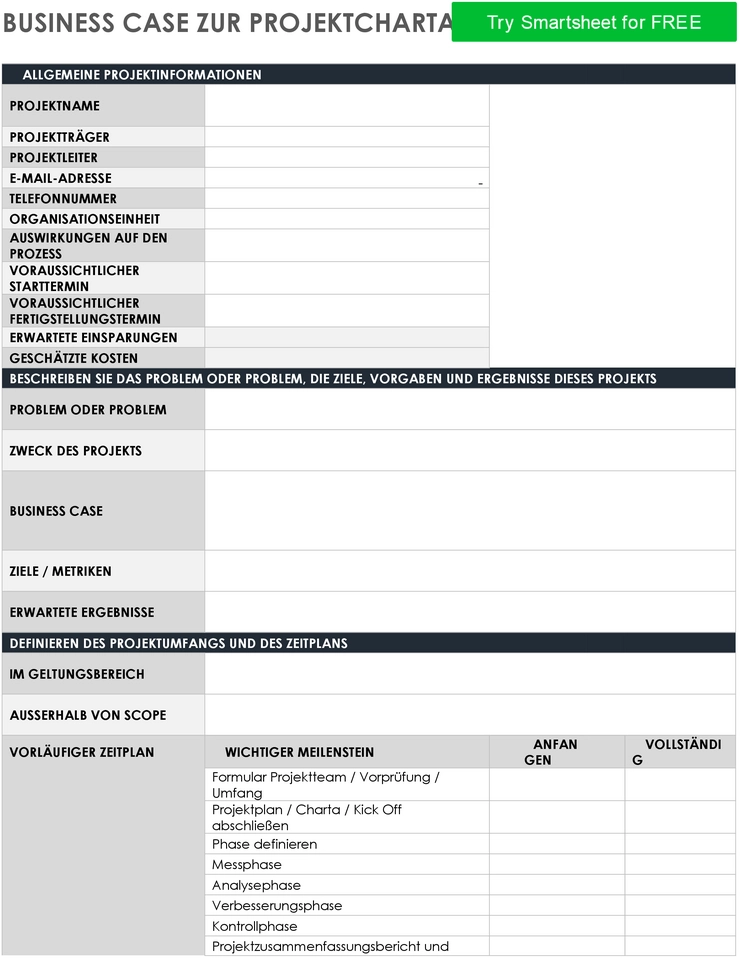 projektcharta-mit-business-case-und-risiken
