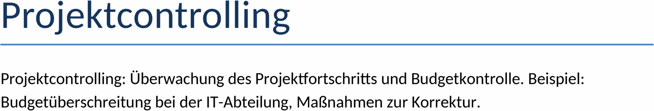 Projektcontrolling Word-Template