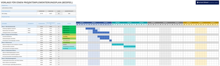 projektimplementierungsplan-vorlage-excel