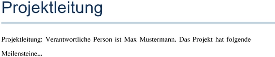 projektleitung-vorlage-fuer-die-organisierte-arbeitsweise