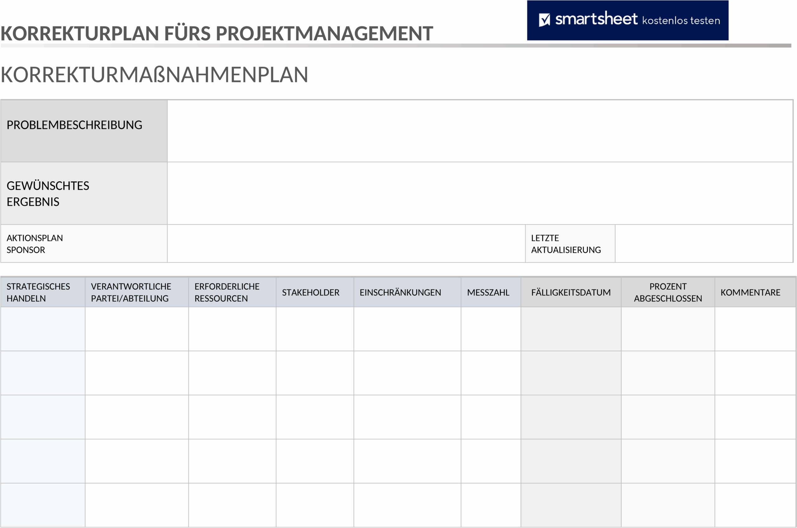 Projektmanagement Korrekturmaßnahmenplan Word