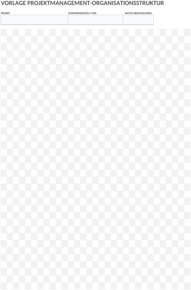 projektmanagement-organisationsstruktur.png