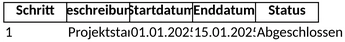 projektmanagement-plan-1747507922692.png