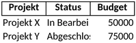 projektmanagement-und-budgetuebersicht