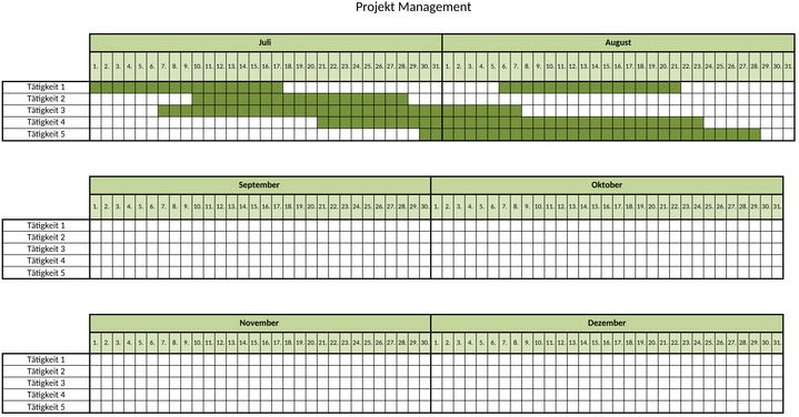 projektmanagement-vorlage-1747503819809.png