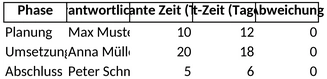projektmanagement-vorlage-1747512292348.png