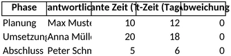 projektmanagement-vorlage-fuer-effiziente-planung-und-umsetzung