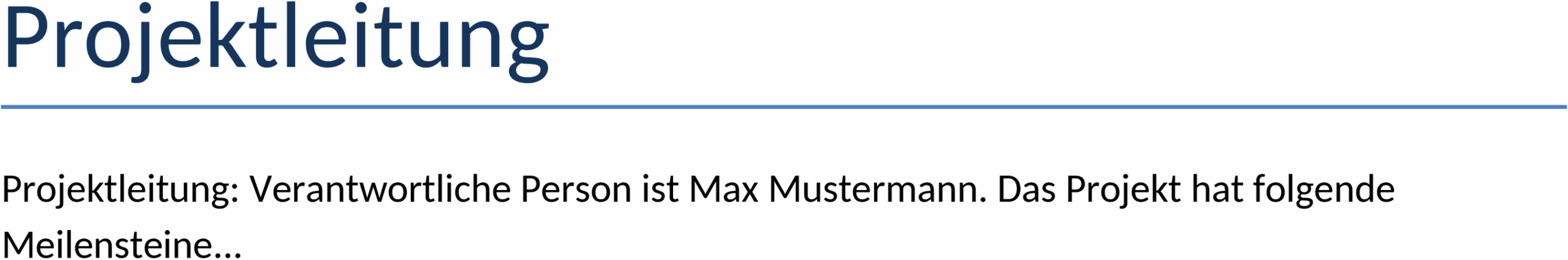 projektmanagement-vorlage.png