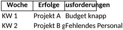 projektmanagement-wochenbericht.png