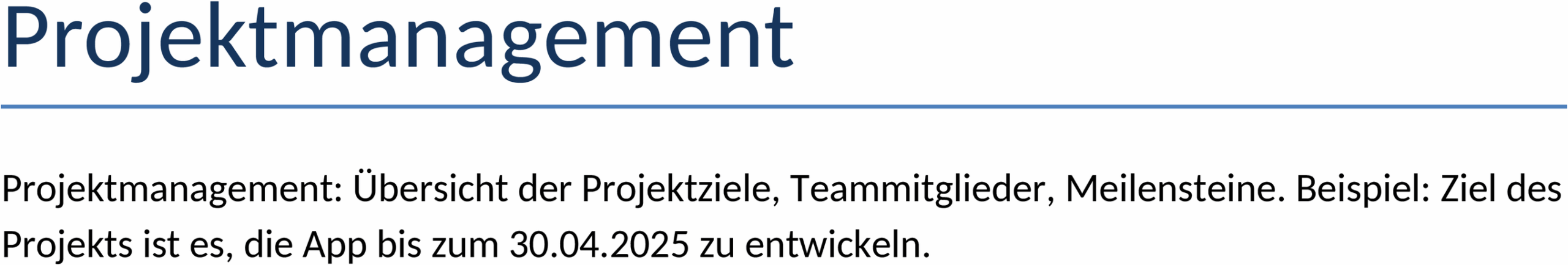 Projektmanagement Word-Vorlage