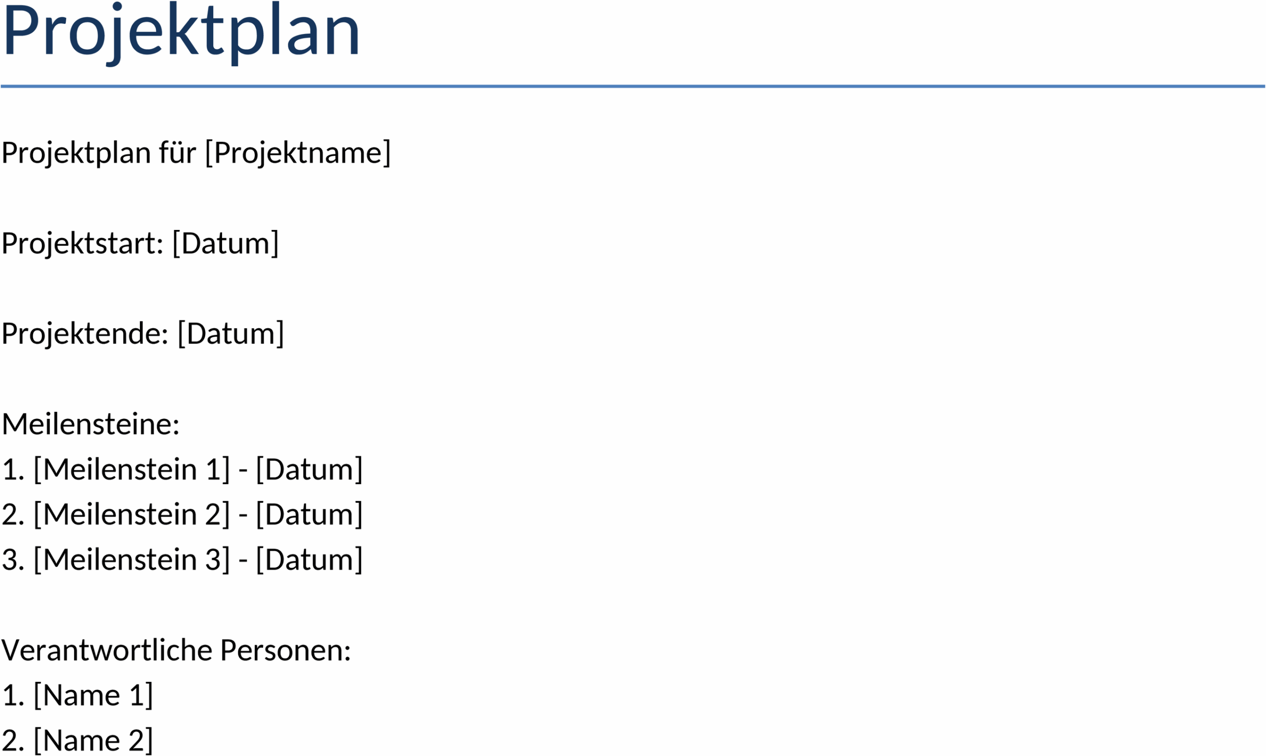 Projektplan im Word-Format
