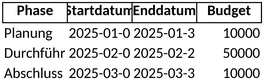 projektplanung-und-management-vorlage-fuer-excel