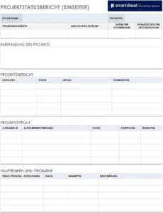 projektstatusbericht-einseitig-fuer-unternehmen