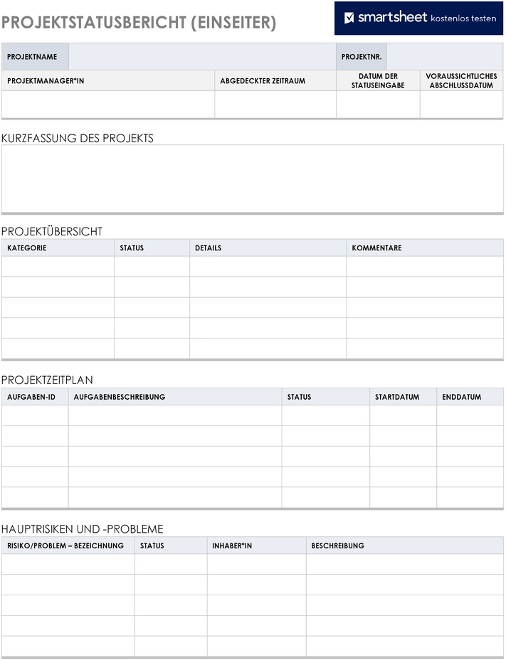 projektstatusbericht-einseitig-fuer-unternehmen