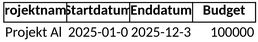 projektsteckbrief.png