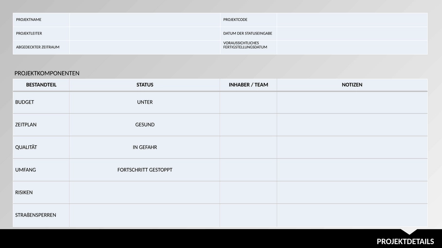 projektupdate-vorlage-management.png