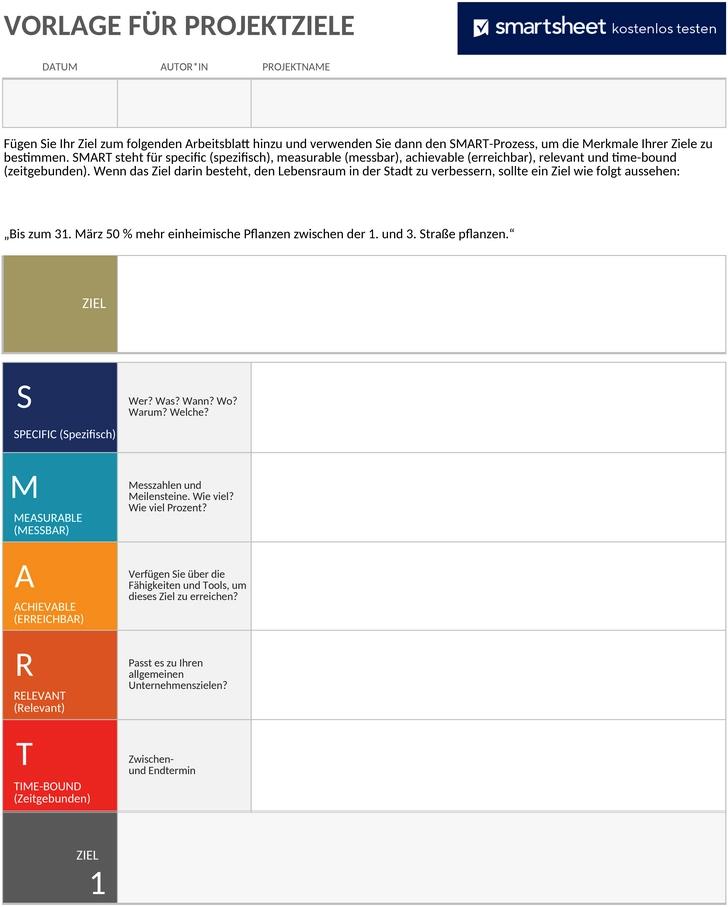 projektziele-und-vorgaben-1747510304105.png