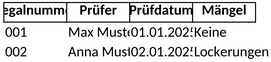 protokoll-formular-regalpruefung.png