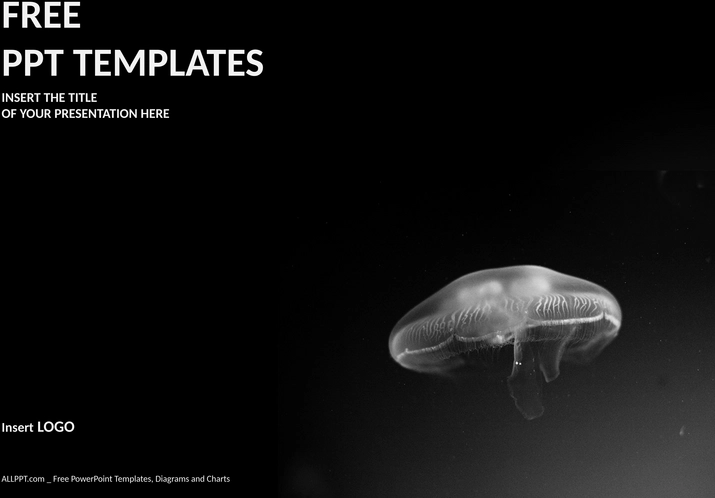 quallen-natur-powerpoint-template-standard.png