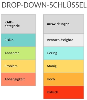 raid-log-risikoanalyse.png