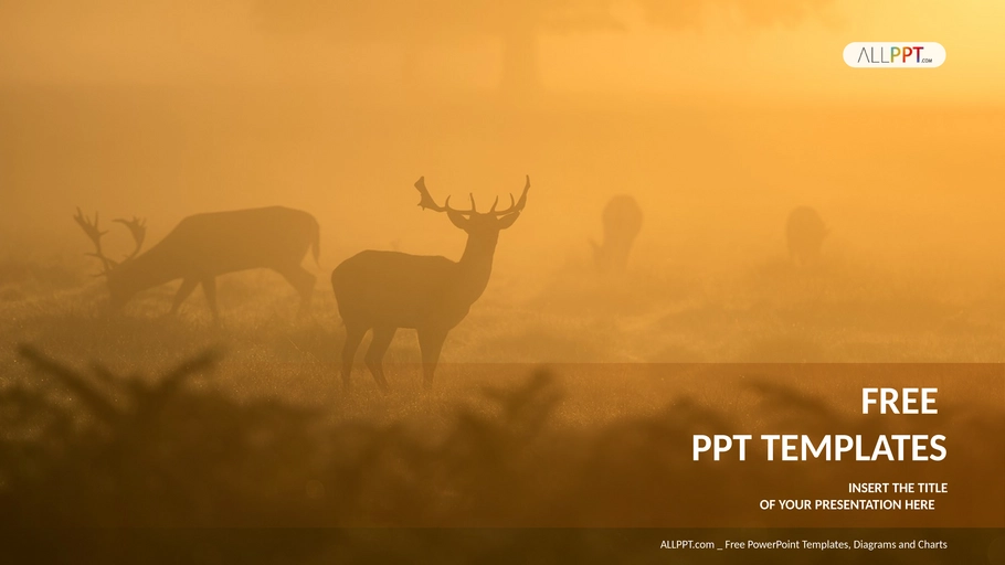reh-im-nebel-powerpoint-template-widescreen.png