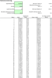 rentenversicherungsberechnung-erfolgreich-planen-mit-excel