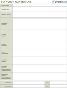 risiko-action-plan-vorlage-pdf