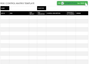 risk-control-matrix-vorlage