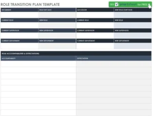 role-transition-plan-vorlage