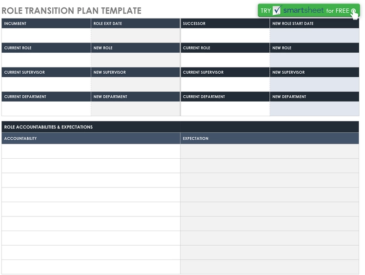role-transition-plan-vorlage