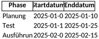 rollout-konzept-projektmanagement.png