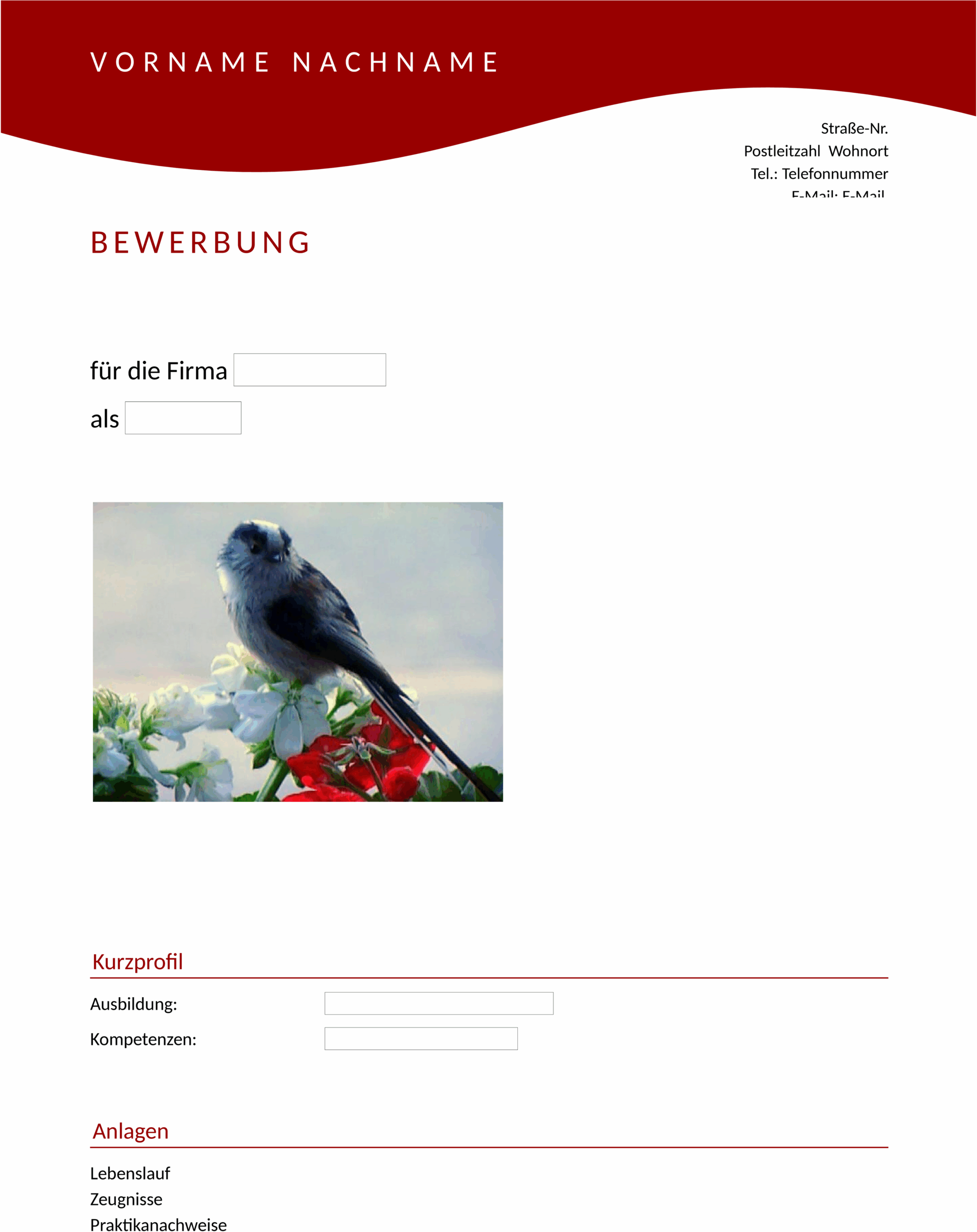 rote-welle-broschuere.png