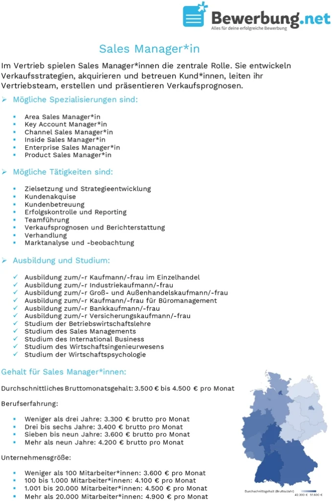 sales-manager-bewerbung-karriereplanung-vorlage