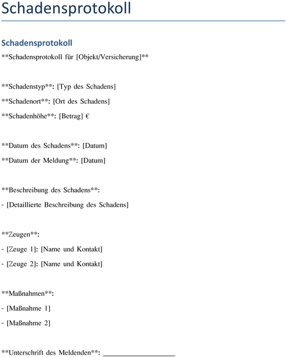 schadensprotokoll-fuer-versicherungsschaden-dokumentieren