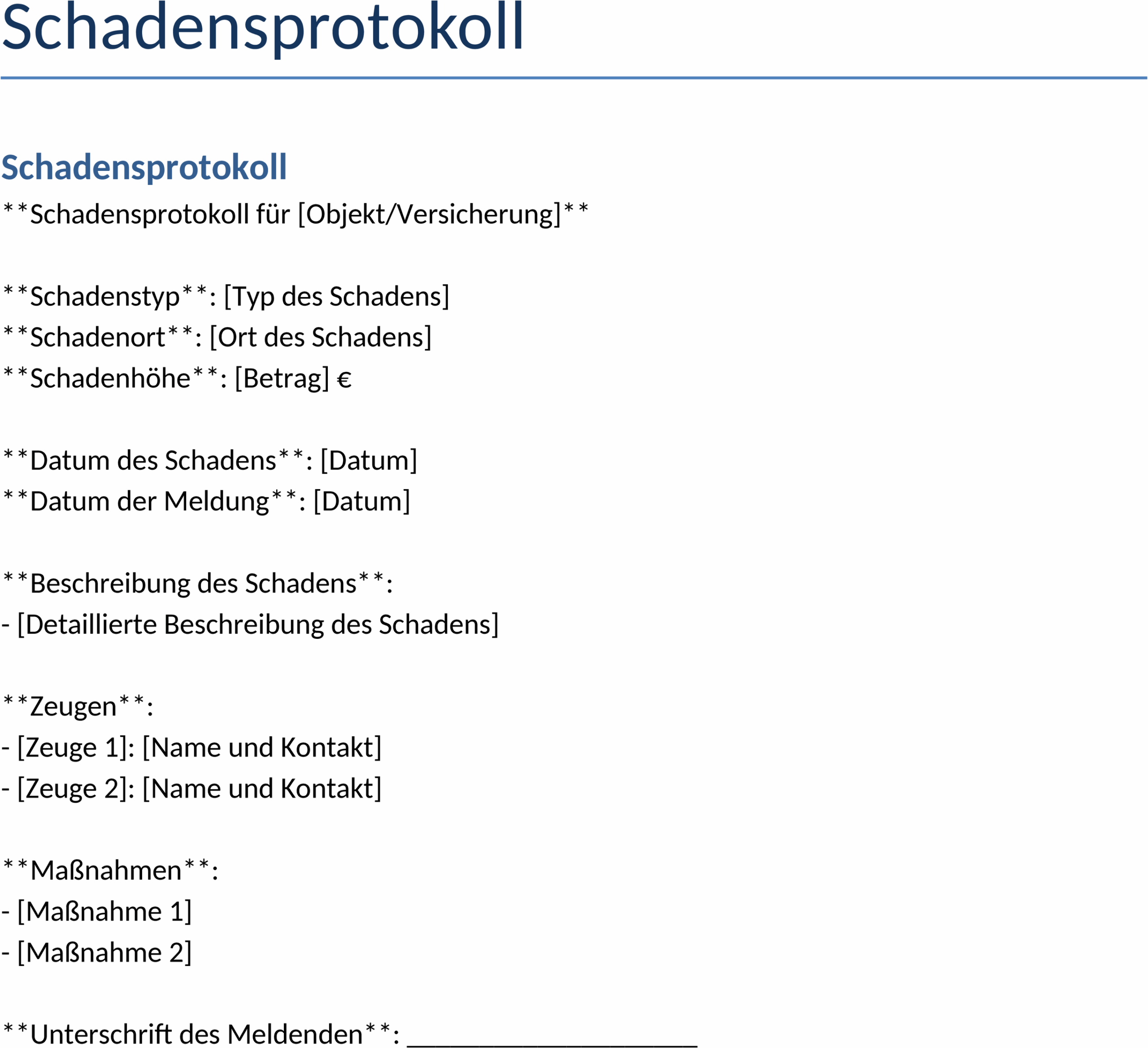 Schadensprotokoll DOCX Vorlage