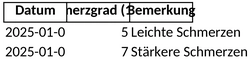 schmerztagebuch.png