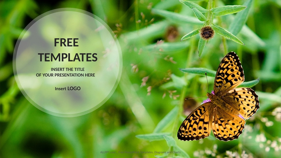schmetterling-auf-blume-natur-powerpoint-vorlagen-widescreen.png