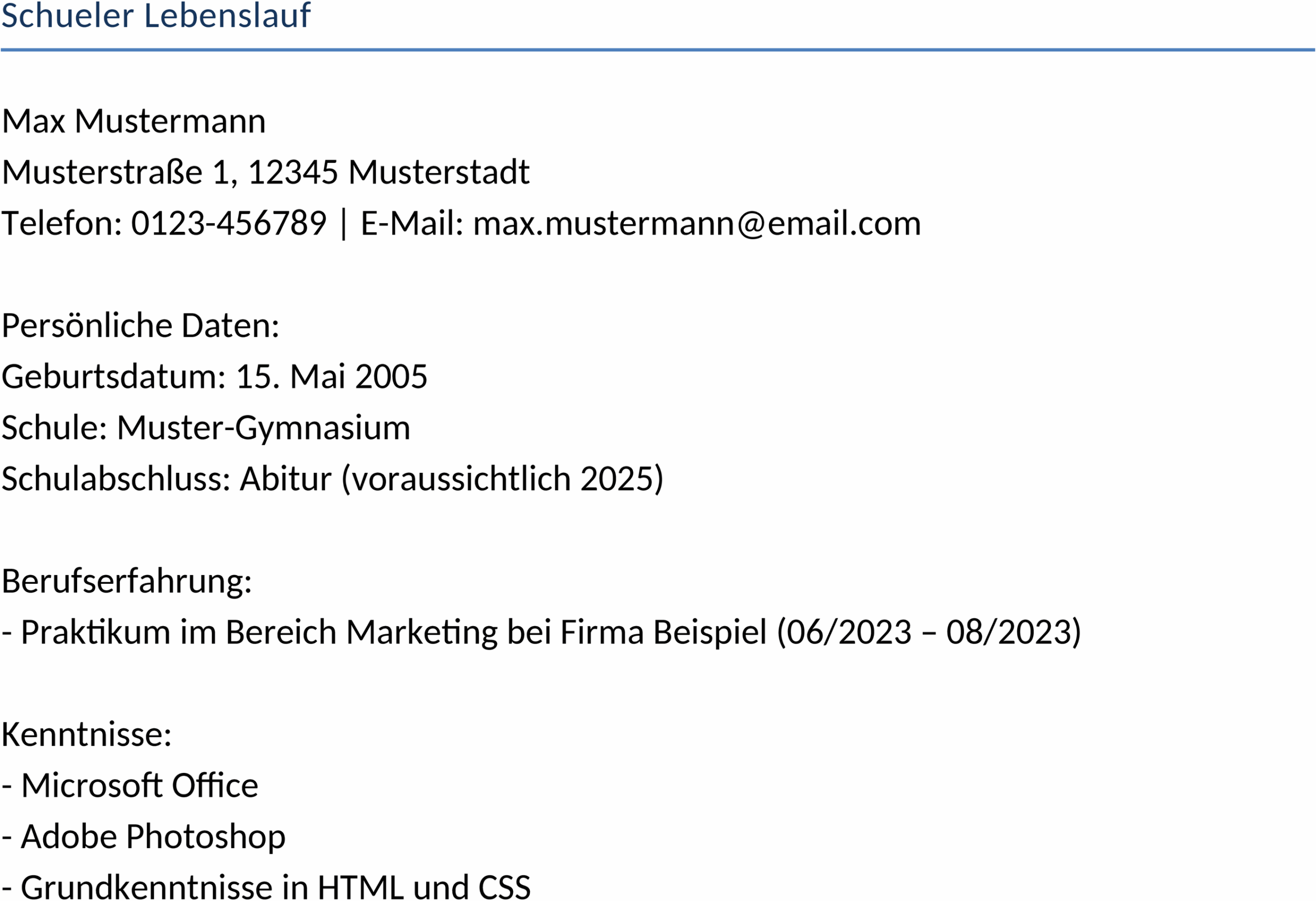 Schüler-Lebenslauf im Word-Format